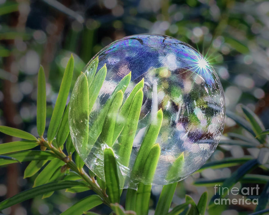 The Bubble Photograph by Bobbie Turner