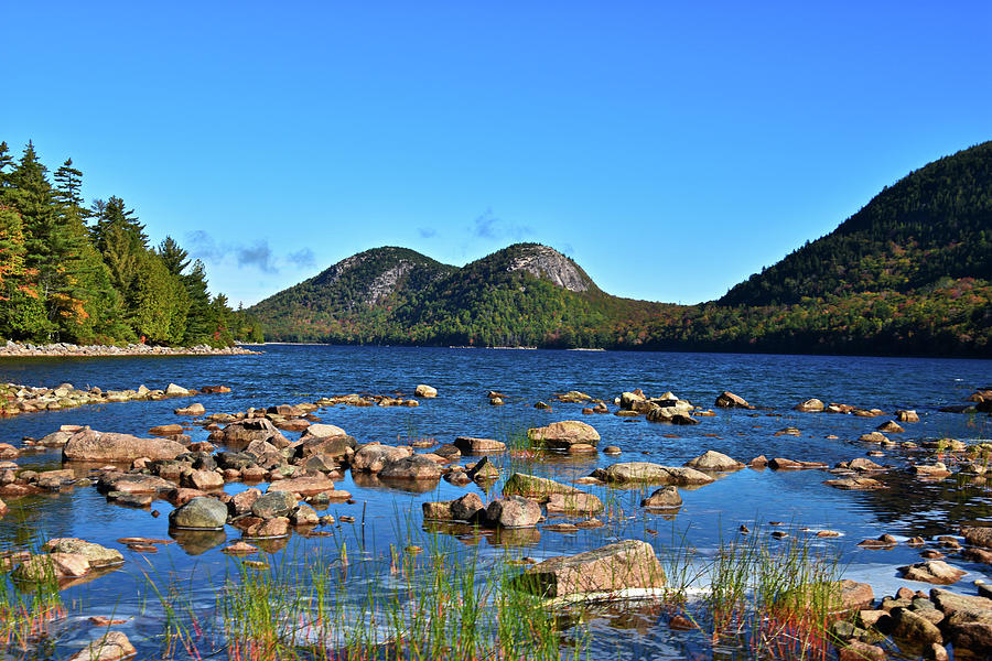 The Bubbles of Acadia Photograph by Crystal Bridge - Fine Art America