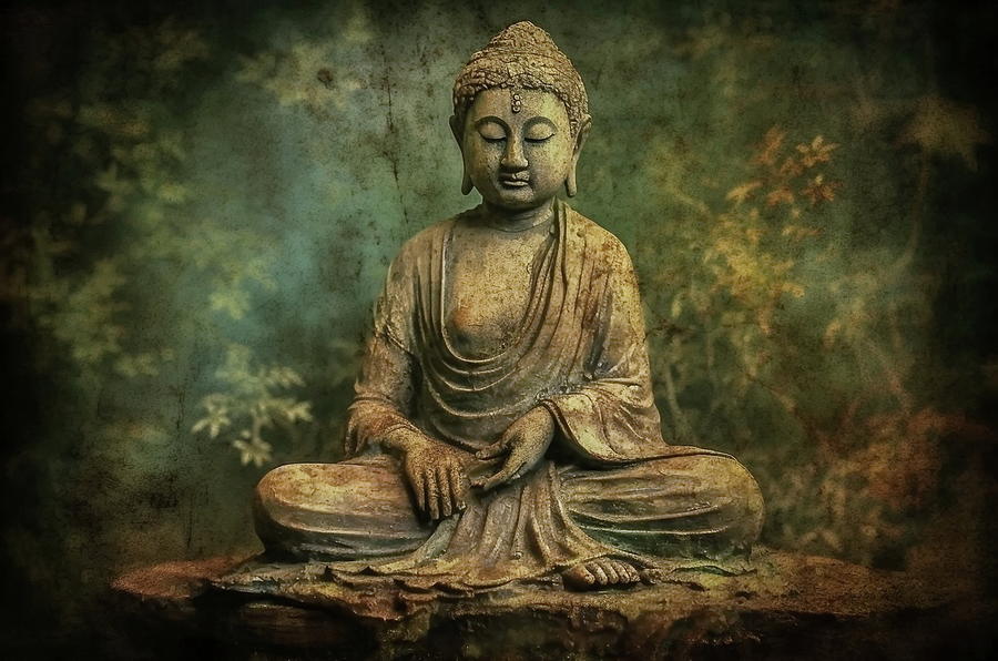 The Buddha Photograph by Andrea Kollo