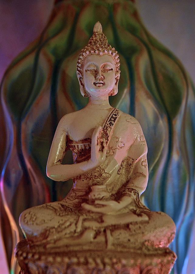 Buddha Photograph - The Buddha by Matt MacMillan
