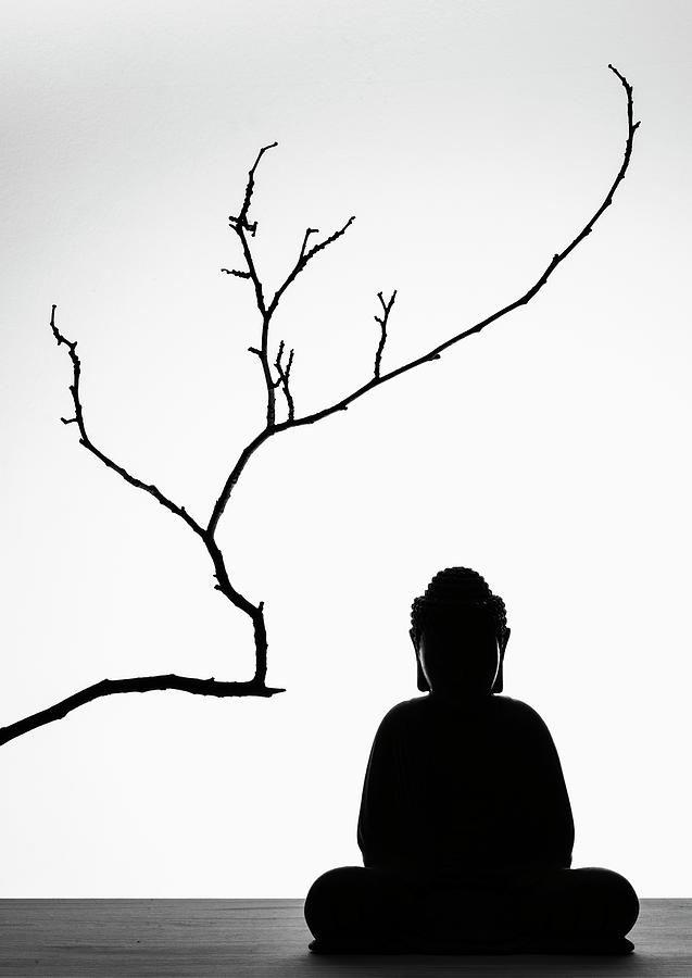 The Buddha Under the Tree Photograph by Martin Vorel Minimalist Photography