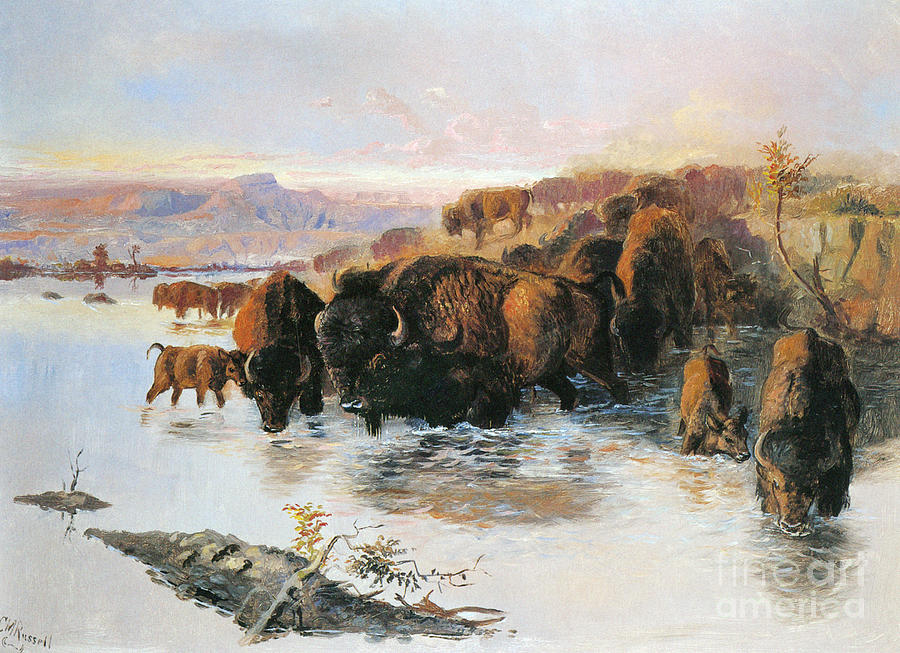 The Buffalo Herd Painting by Charles M Russell