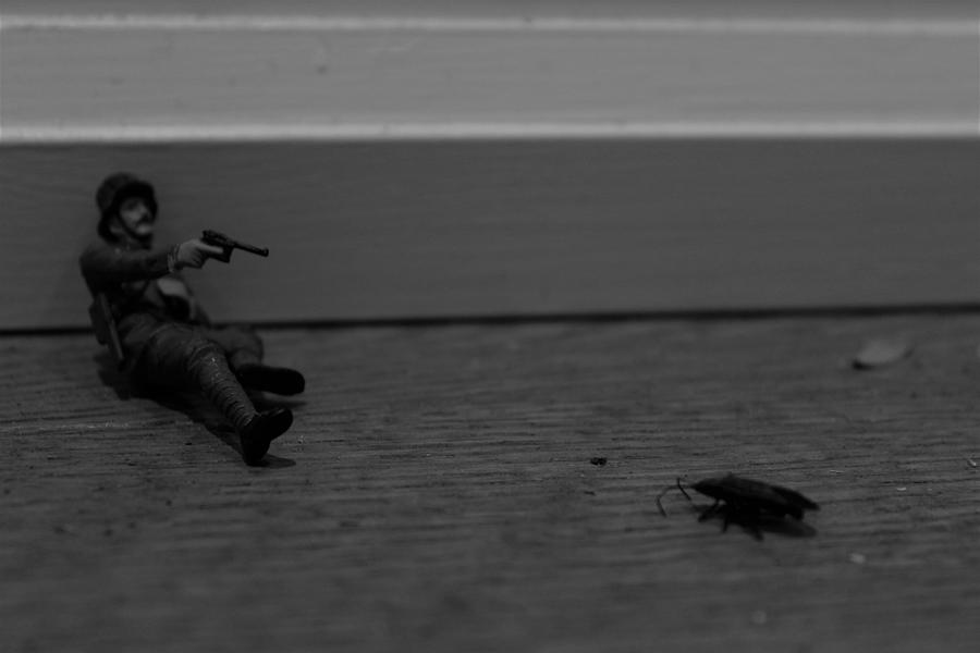 The Bug Photograph by Army Men Around the House