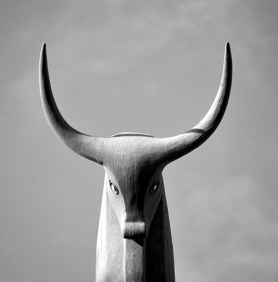 the Bull black and white Photograph by David Lee Thompson