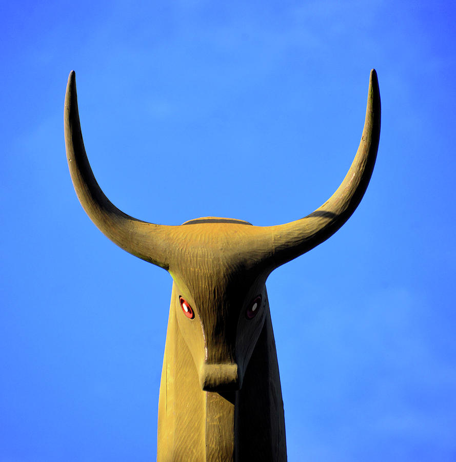 The Bull Photograph by David Lee Thompson