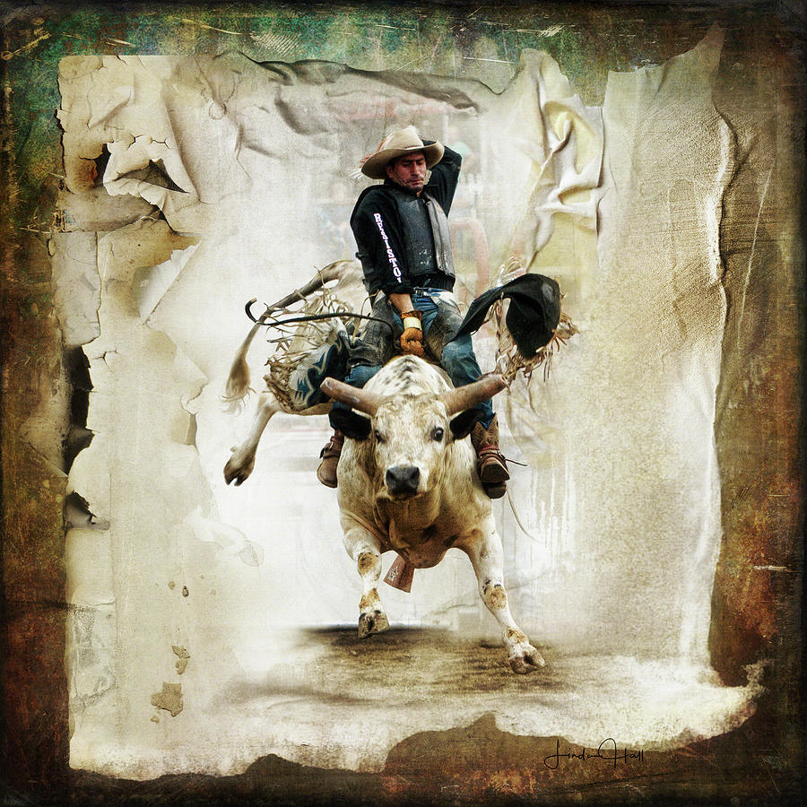 Animal Digital Art - The Bull Rider by Linda Lee Hall
