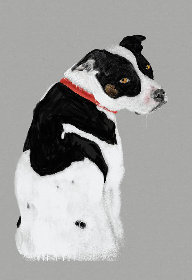 The Bullypit Digital Art by Sue Capuano