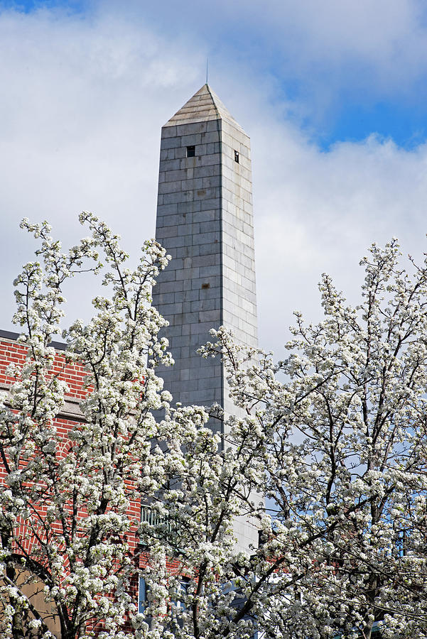 The Bunker Hill Monument Over the Cherry Blossom Trees Charlestown MA Photograph by Toby McGuire