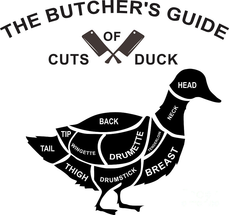 The Butcher's Guide Cuts Of Duck Illustration Painting By Kartick Dutta 