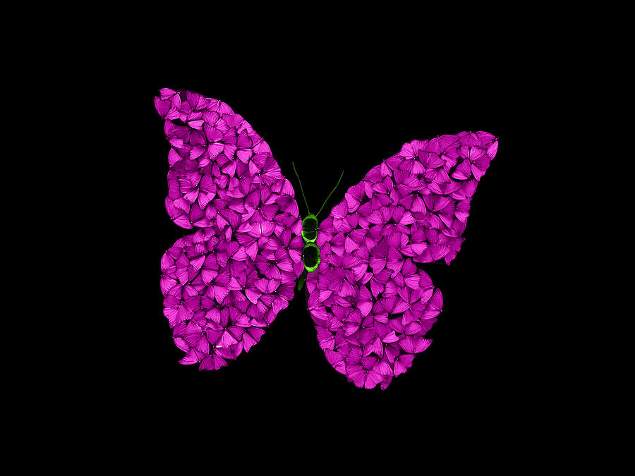 The Butterfly Effect Purple Digital Art by Scott Fulton