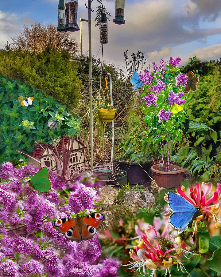 The Butterfly Garden Mixed Media by Sandi OReilly