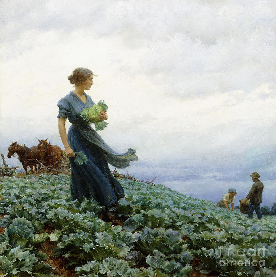 The Cabbage Field, 1914 Painting by Charles Courtney Curran