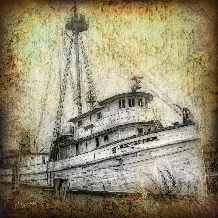 The Calcasieu Trawler 3 Photograph by George Moore