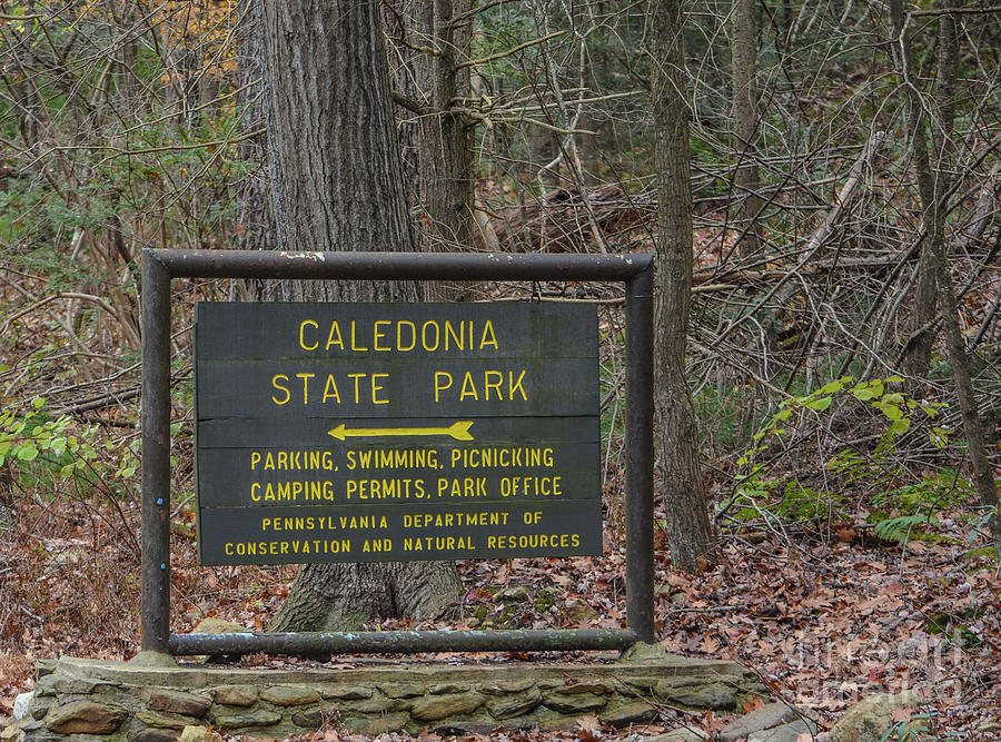 The Caledonia State Park Sign In The Michaux State Forest, Franklin County, Pennsylvania Photograph