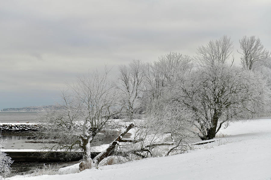 The Calmness of Winter Photograph by Randi Grace Nilsberg