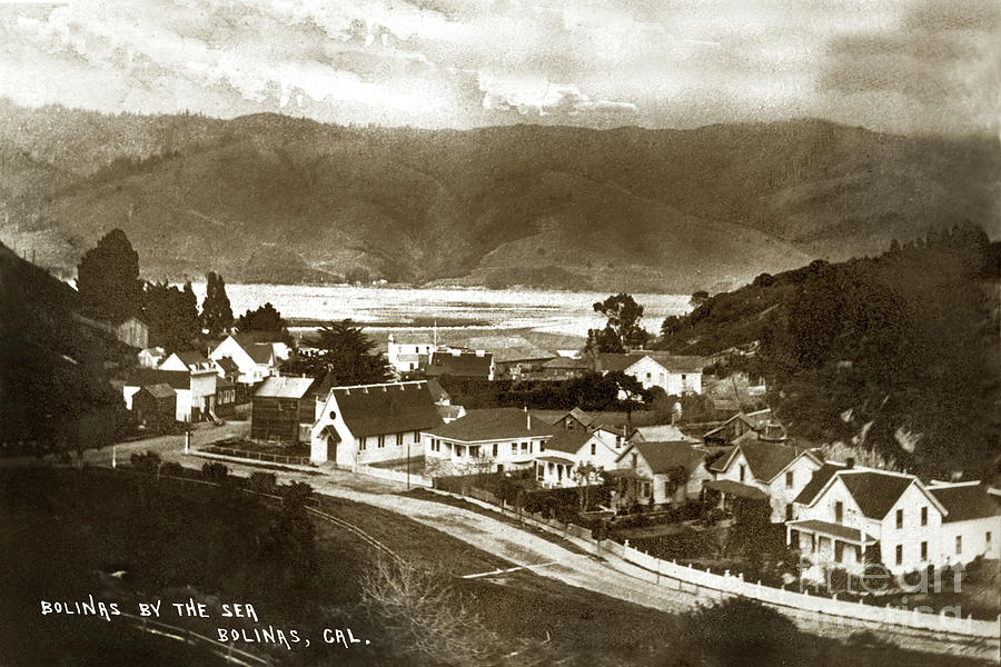 Bolinas Photograph - The Calvary Presbyterian Church  Bolinas by the Sea, Bolinas, Ca 1910 by Monterey County Historical Society