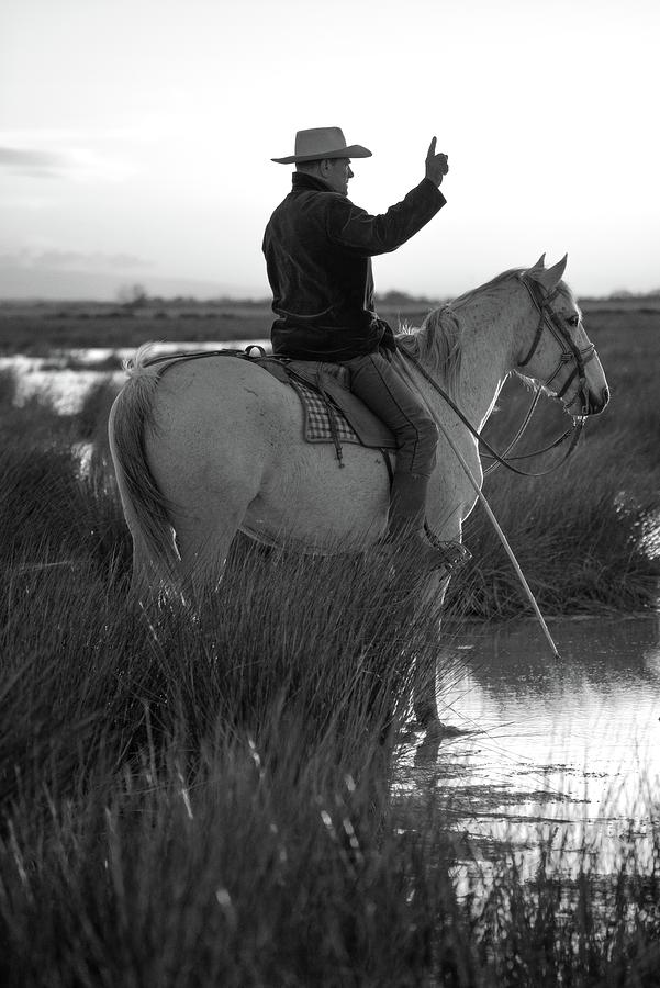The Camargue rancher gives the order Photograph by Jean Gill