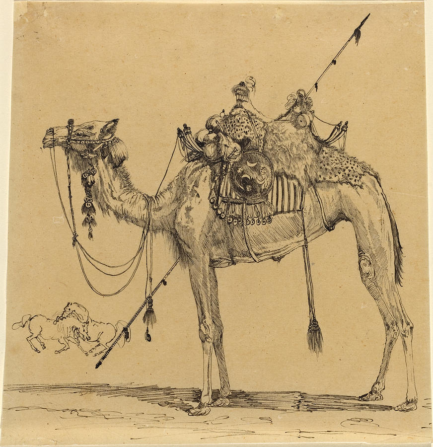Rodolphe Bresdin Drawing - The Camel by Rodolphe Bresdin