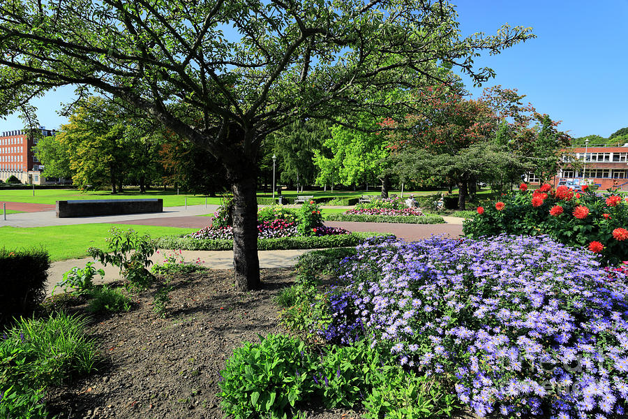 The Campus gardens Welwyn Garden City Hertfordshire Photograph by Dave ...