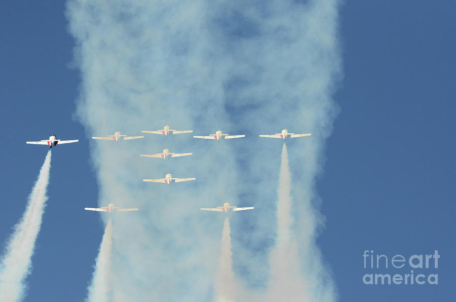 The Canadian Snowbirds Magic In The Sky 41 Photograph by Bob Christopher