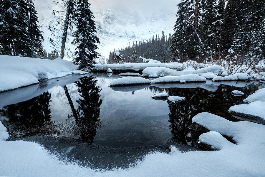 The Canadian Winter - Canadian Rockies Photograph by Yves Gagnon