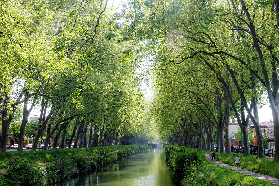 The Canal de Brienne in Toulouse Photograph by W Chris Fooshee