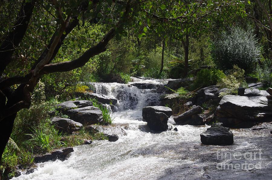 The Canning River Near Araluen, Western Australia Photograph by Lesley ...