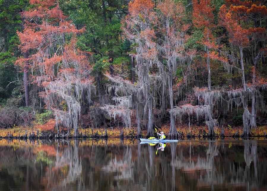 The Canoe Ride At Caddo Lake Photograph by Harriet Feagin