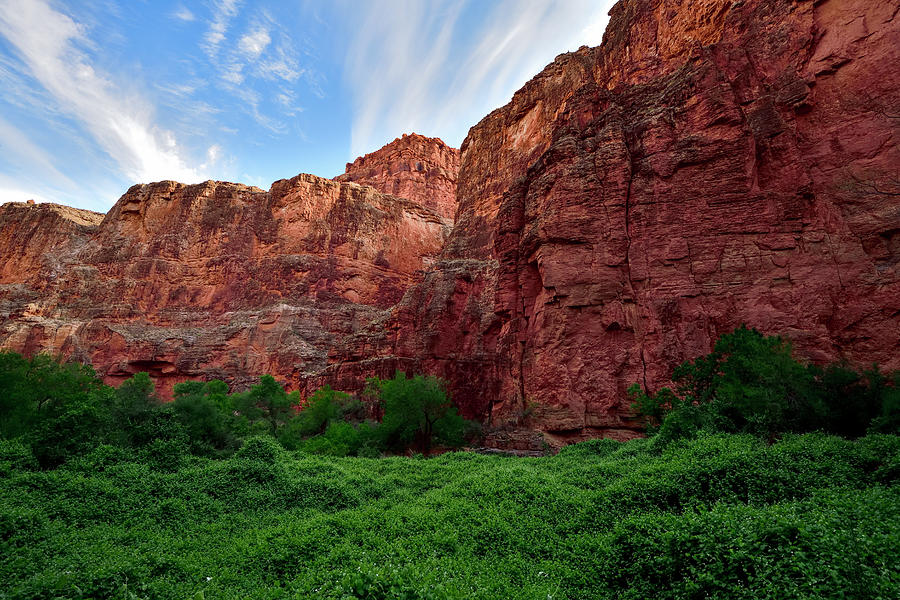 The Canyon and the Meadow  Photograph by Amazing Action Photo Video