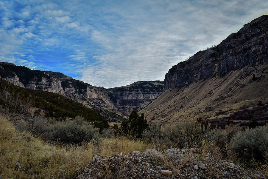 The Canyon in Autumn Photograph by Laura Putman