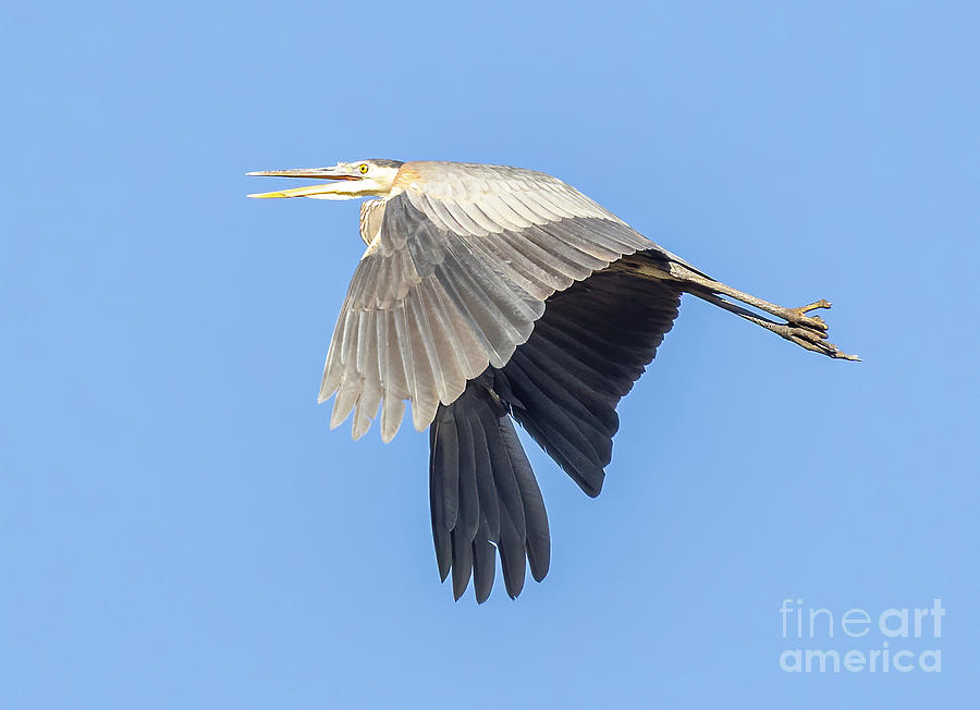 The Cape Photograph by Michelle Tinger - Fine Art America