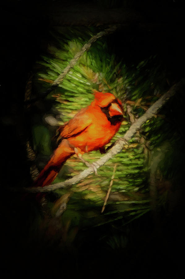 The Cardinal 1 Digital Art