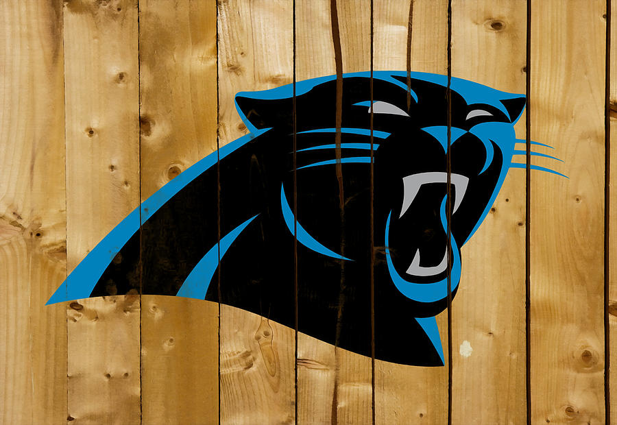 The Carolina Panthers 8e Mixed Media by Brian Reaves