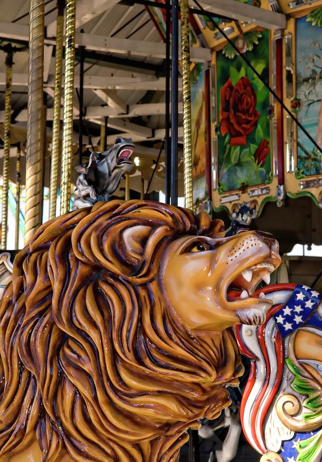 The Carousel Photograph by Bob Pardue