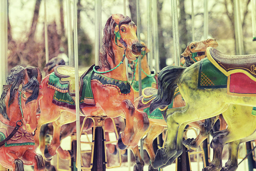 Winter Photograph - The Carousel by Carrie Ann Grippo-Pike