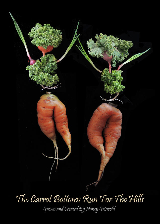 Vegetable Photograph - The Carrot Bottoms Run for The Hills by Nancy Griswold