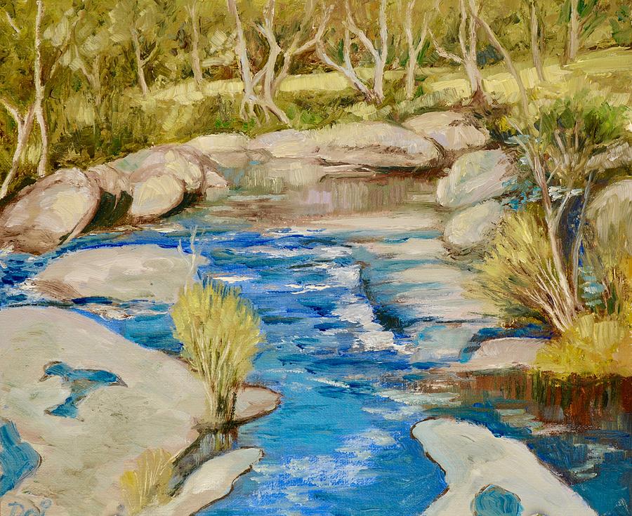 The Cascades on the Coliban River at Metcalfe Painting by Dai Wynn