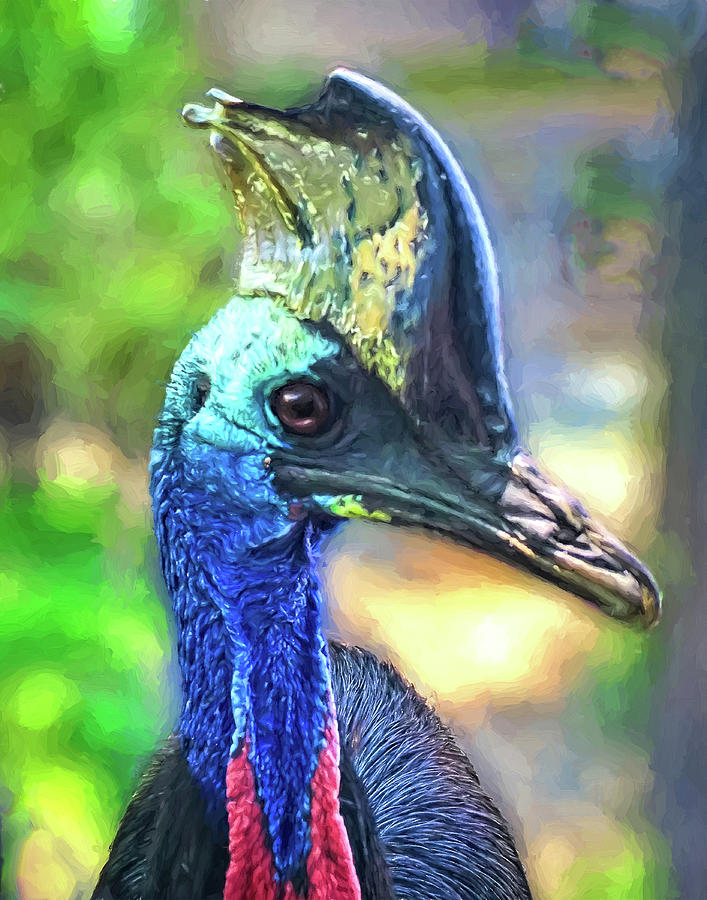 The Cassowary Digital Art by Anita Hubbard | Fine Art America