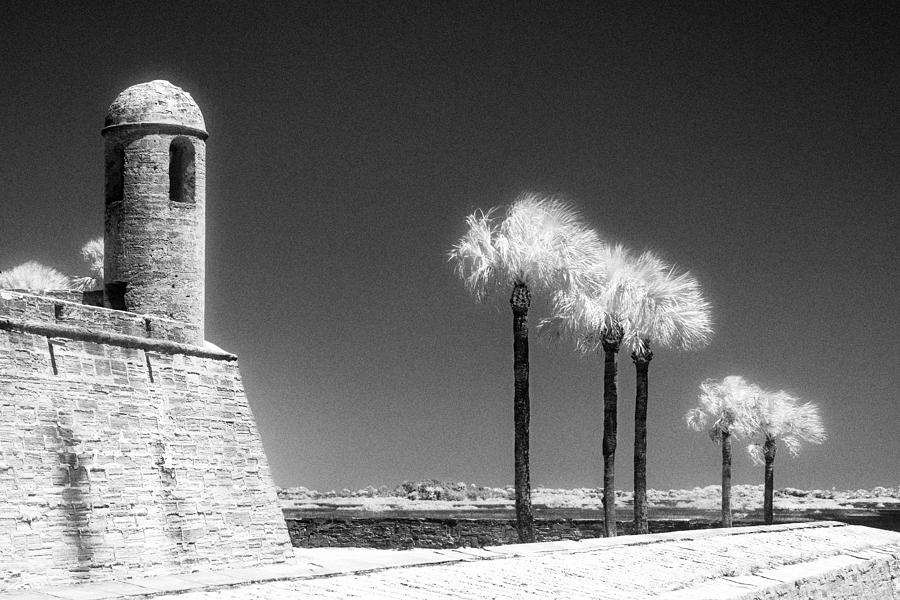 The Castillo, St. Augustine Photograph by Jeffrey Holbrook