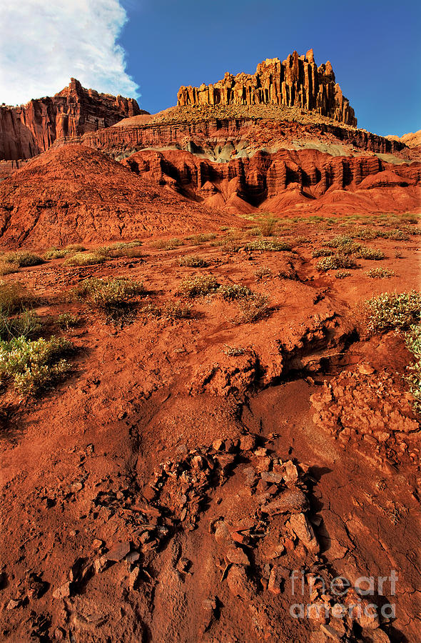 The Castle After Rain Capitol Reef National Park Utah Photograph by Dave Welling