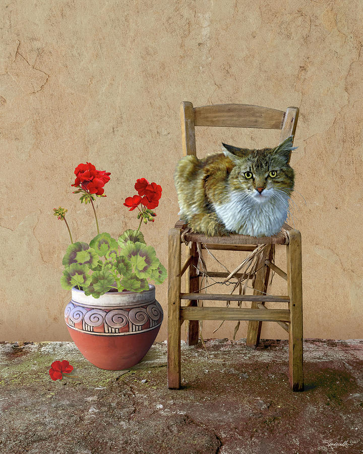 The Cat Chair Digital Art by M Spadecaller