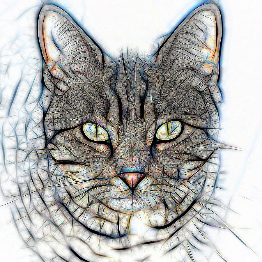 The Cat on White Digital Art by Peggy Collins
