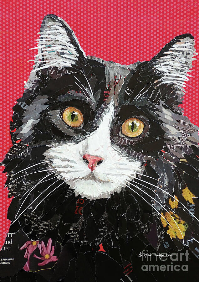 Black And White Mixed Media - The cat with nine lives by Anthea Weir