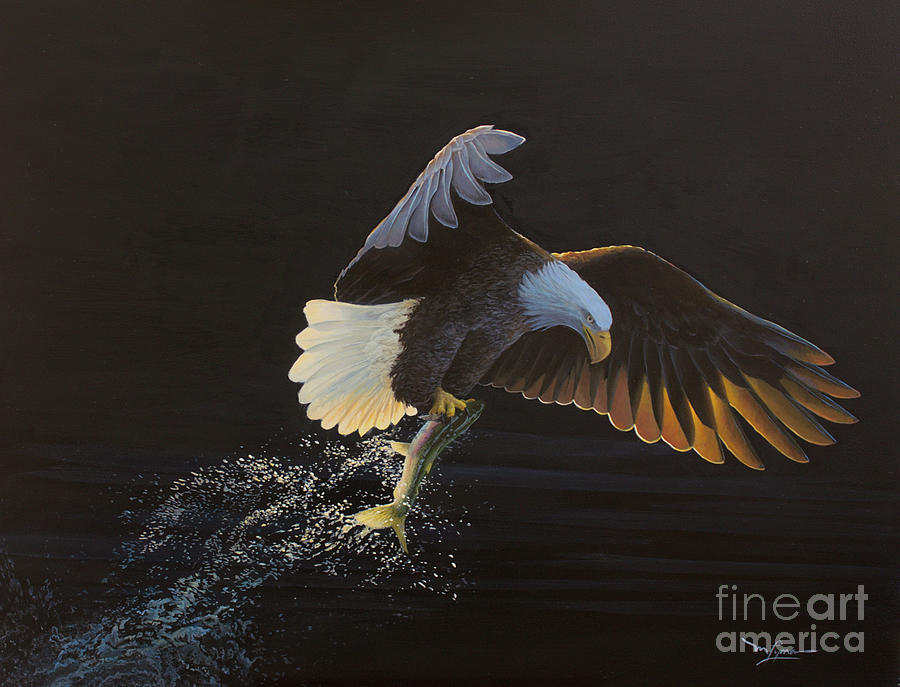Sunlit Painting - The Catch - American Bald Eagle by Mitch Lyman