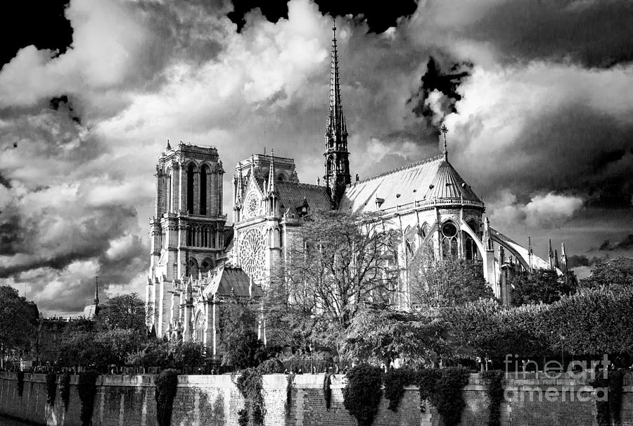 The cathedral  Notre dame de Paris. Photograph by Cyril Jayant