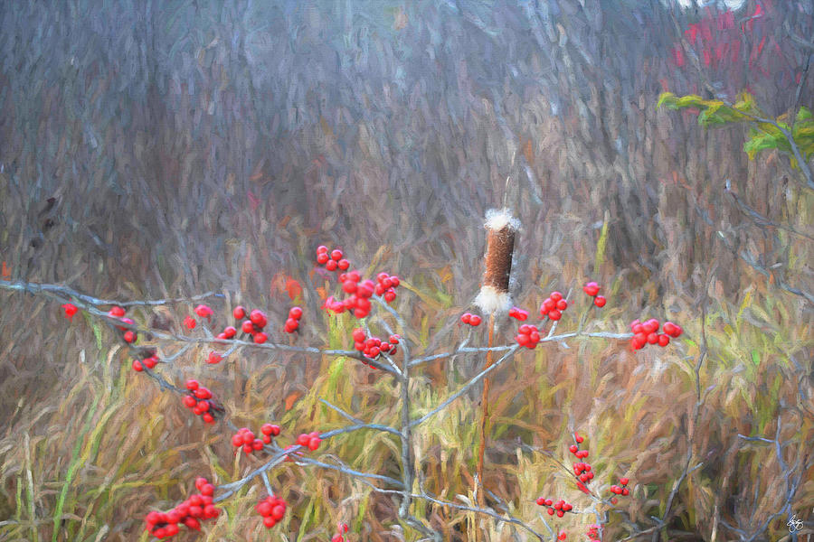 The Cattail and the Holly Photograph by Wayne King
