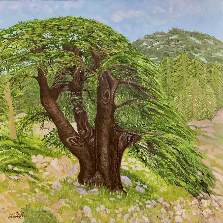 The Cedars of Lebanon Painting by Caroline Street