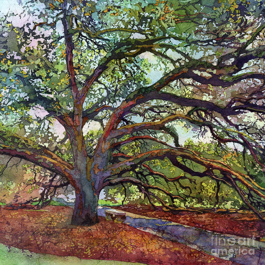 College Station Painting - The Century Oak - Live Oak Tree by Hailey E Herrera