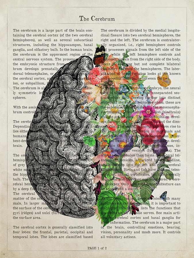 Cerebrum Digital Art - The Cerebrum with Flowers by Aged Pixel Cerebrum Digital Art - The Cerebrum with Flowers by Aged Pixel