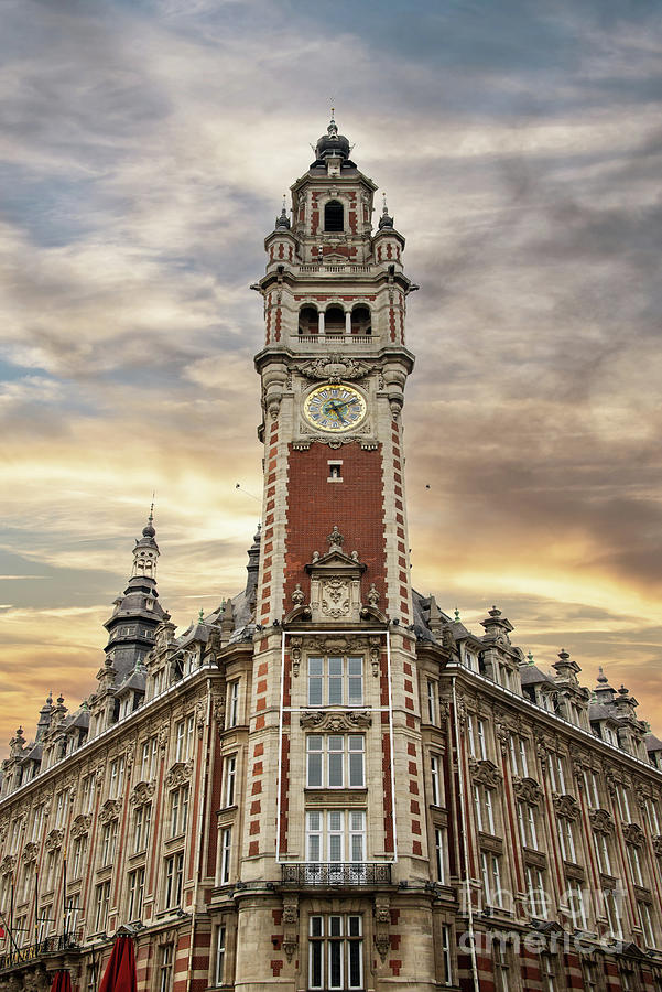 The Chamber of Commerce of Lille, France Photograph by Delphimages Photo Creations